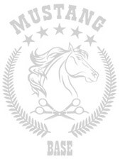 Расческа комбинированная Mustang MRB-02 Фото 1